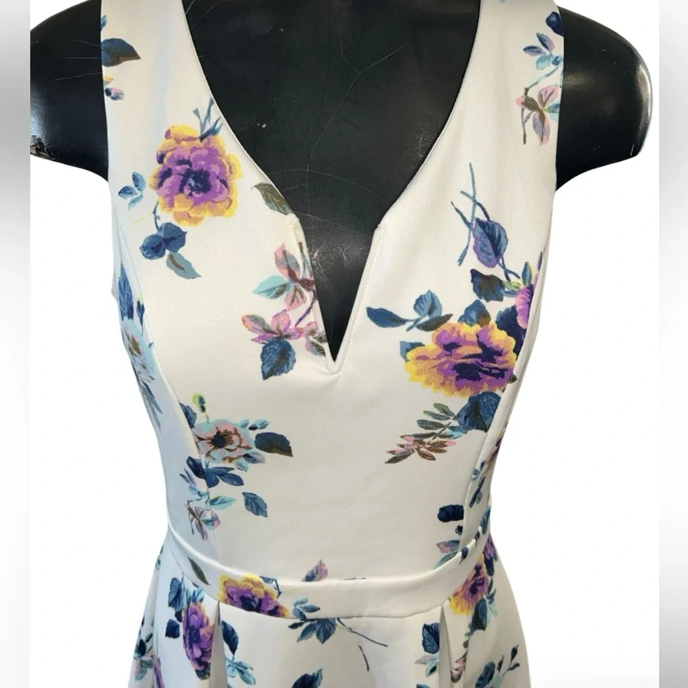 Francesca`s Romantic Floral Fit & Flare V-Neck Delicate Pleated Dress Sm… - Picture 5 of 7